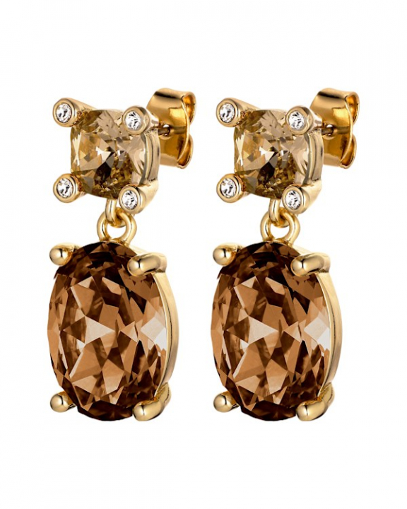 ANTONIA SG BROWN EARRINGS GOLD in de groep Oorbellen / Gouden oorbellen bij SCANDINAVIAN JEWELRY DESIGN (470147)