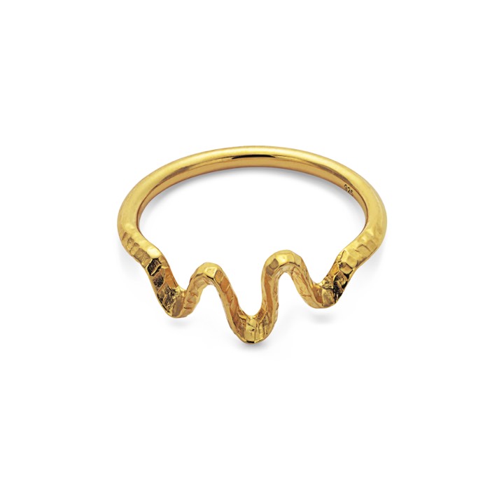 Sonar ring (goud) in de groep Ringen / Gouden ringen bij SCANDINAVIAN JEWELRY DESIGN (4727a)