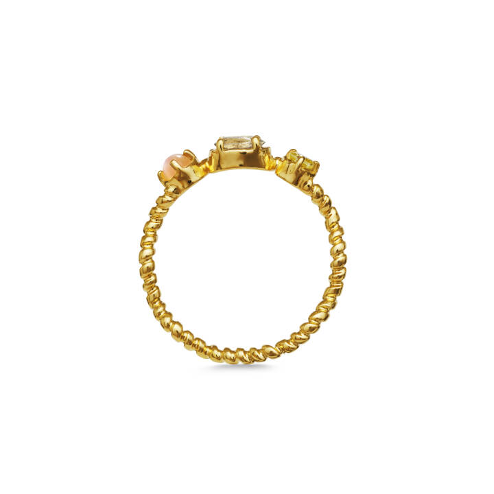 Solange Ring Goud in de groep Ringen bij SCANDINAVIAN JEWELRY DESIGN (4735A)