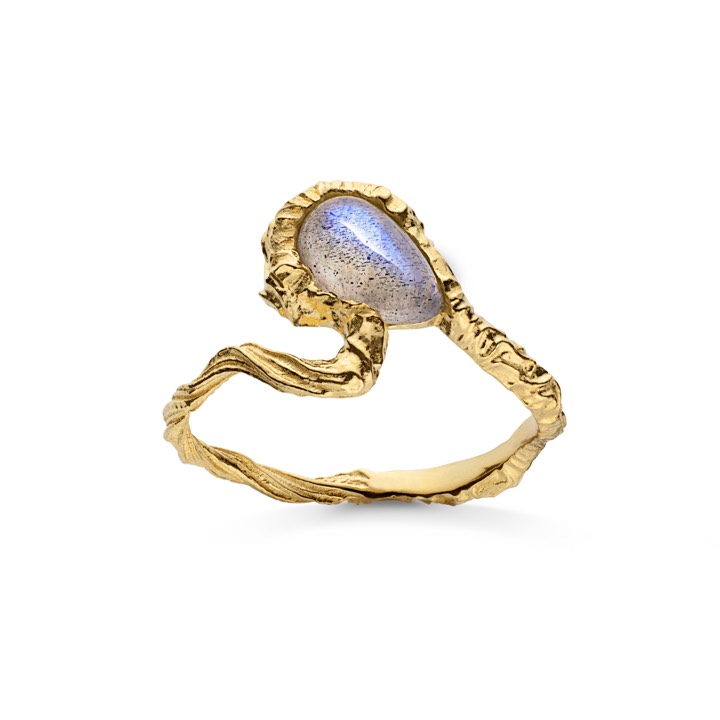 Alba ring (goud) in de groep Ringen / Gouden ringen bij SCANDINAVIAN JEWELRY DESIGN (4736a)