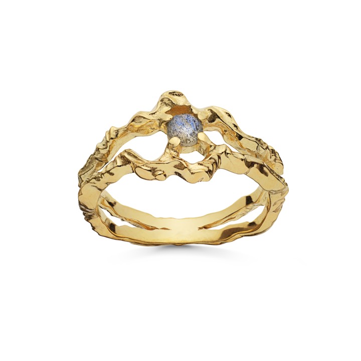 Shelly ring (goud) in de groep Ringen / Gouden ringen bij SCANDINAVIAN JEWELRY DESIGN (4738a)