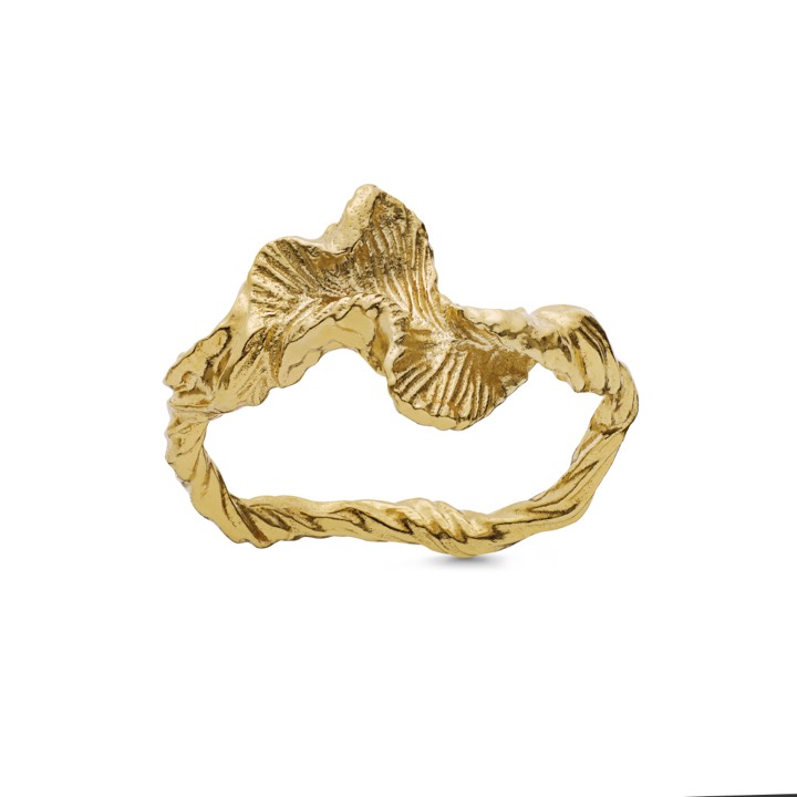 Nino ring (goud) in de groep Ringen / Gouden ringen bij SCANDINAVIAN JEWELRY DESIGN (4756a)