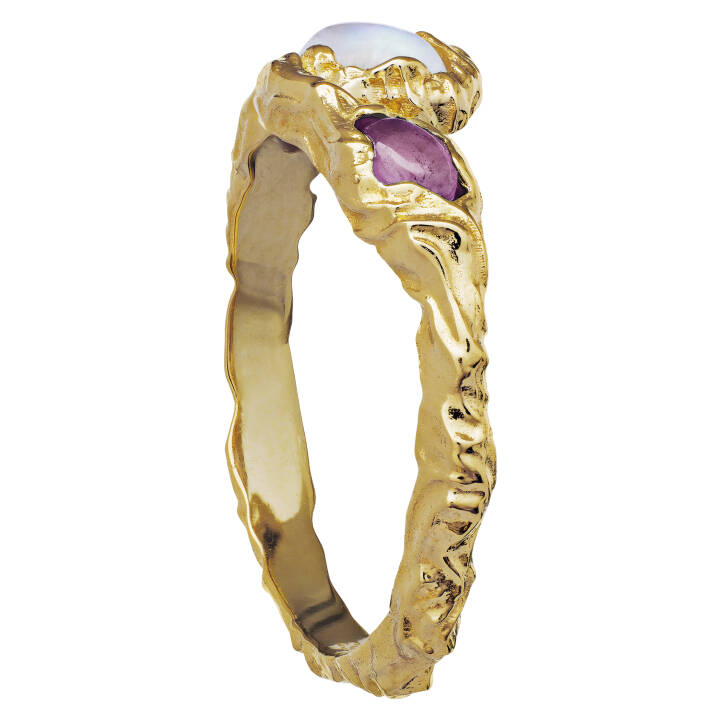 Baila Ring (goud) in de groep Ringen / Gouden ringen bij SCANDINAVIAN JEWELRY DESIGN (4764a)