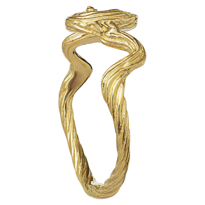 Freya Ring (goud) in de groep Ringen / Gouden ringen bij SCANDINAVIAN JEWELRY DESIGN (4768a)