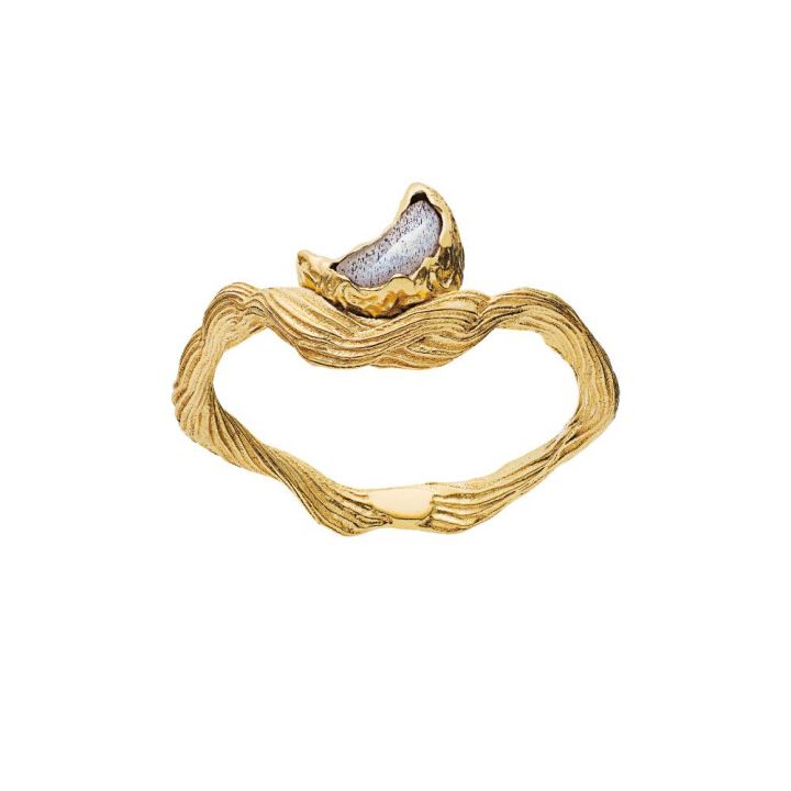 Cordelia Ring (Goud) in de groep Ringen / Gouden ringen bij SCANDINAVIAN JEWELRY DESIGN (4773a)