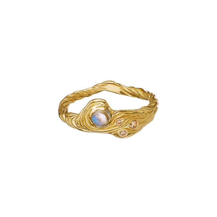 Oceana Ring Goud in de groep Ringen / Gouden ringen bij SCANDINAVIAN JEWELRY DESIGN (4774a)
