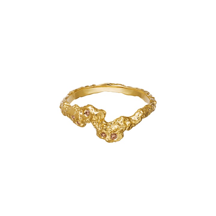 Frida Ring Goud in de groep Ringen / Gouden ringen bij SCANDINAVIAN JEWELRY DESIGN (4775a)