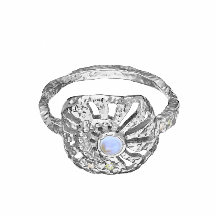 Soluna Ring Zilver in de groep Ringen bij SCANDINAVIAN JEWELRY DESIGN (4776C)