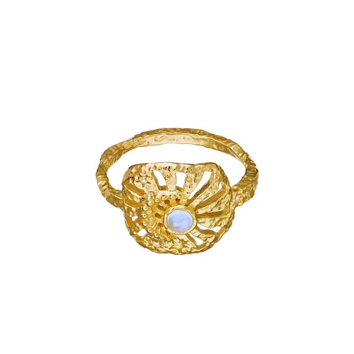 Soluna Ring Goud in de groep Ringen / Gouden ringen bij SCANDINAVIAN JEWELRY DESIGN (4776a)