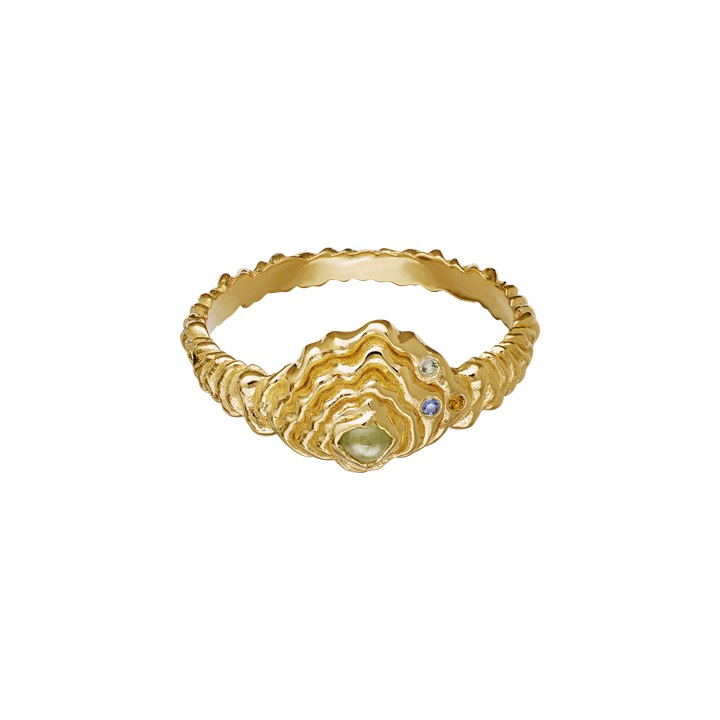 Aia Ring Goud in de groep Ringen / Gouden ringen bij SCANDINAVIAN JEWELRY DESIGN (4777a)