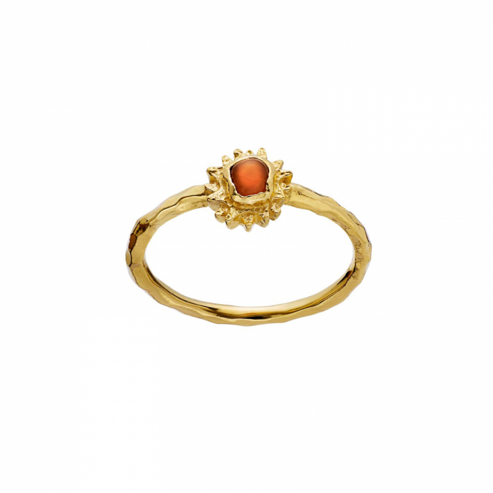 Hella Ring Goud in de groep Ringen / Gouden ringen bij SCANDINAVIAN JEWELRY DESIGN (4780a)