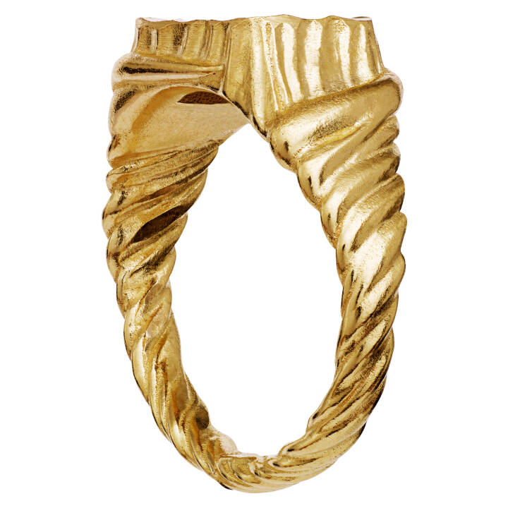 Kim Ring Goud in de groep Ringen / Zilveren ringen bij SCANDINAVIAN JEWELRY DESIGN (4788a)