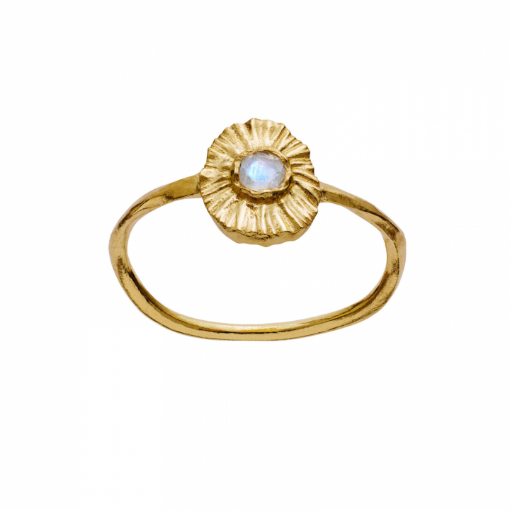 Elin Ring Goud in de groep Ringen / Zilveren ringen bij SCANDINAVIAN JEWELRY DESIGN (4790a)