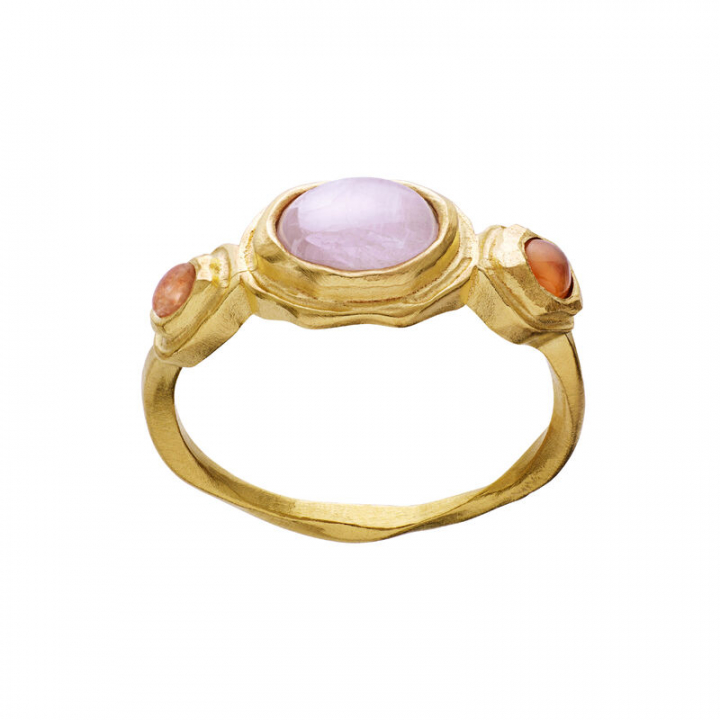 Product Image for Maanesten Nemo ring guld 61