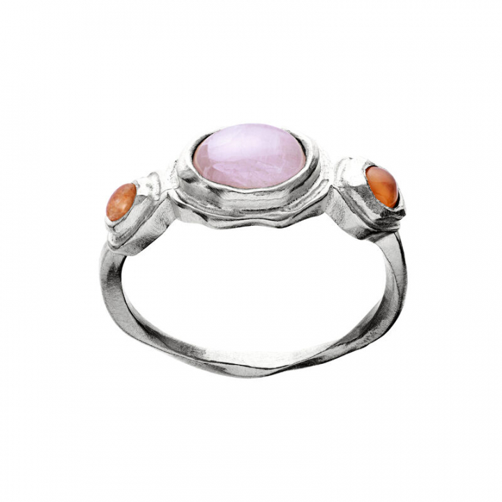 Product Image for Maanesten Nemo ring silver 45
