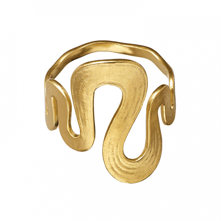 Sasja ring Goud in de groep Ringen / Gouden ringen bij SCANDINAVIAN JEWELRY DESIGN (4796a)