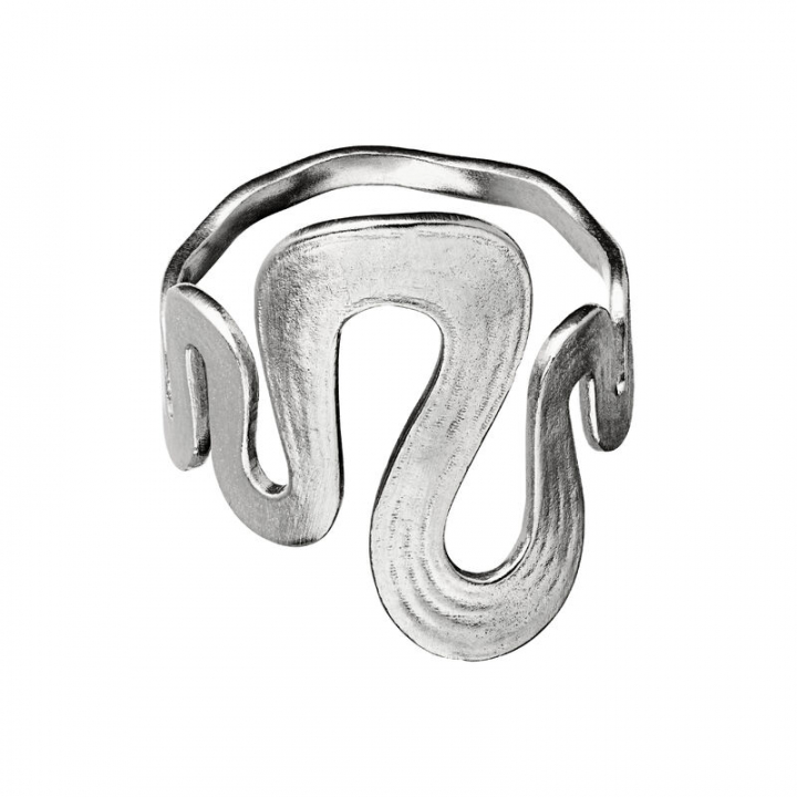 Sasja ring Zilver  in de groep Ringen / Zilveren ringen bij SCANDINAVIAN JEWELRY DESIGN (4796c)
