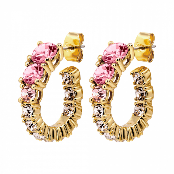 KOLOS SG ROSE Earrings Gold in de groep Oorbellen / Gouden oorbellen bij SCANDINAVIAN JEWELRY DESIGN (480025)