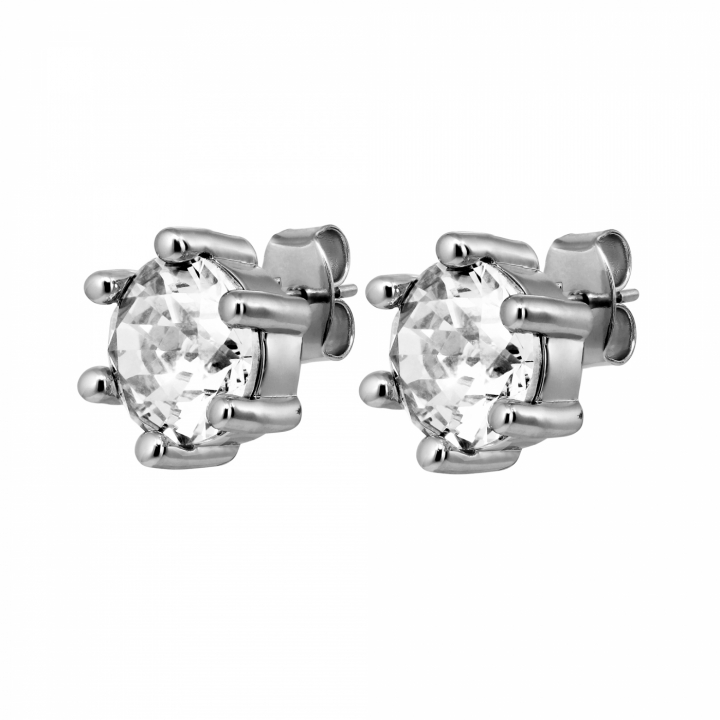 CRAZE SS CRYSTAL Earrings Silver in de groep Oorbellen / Zilveren oorbellen bij SCANDINAVIAN JEWELRY DESIGN (480070)