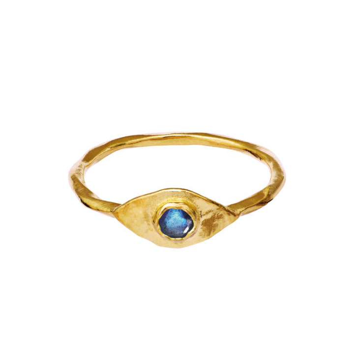 Product Image for Maanesten Argos Ring Goud 57