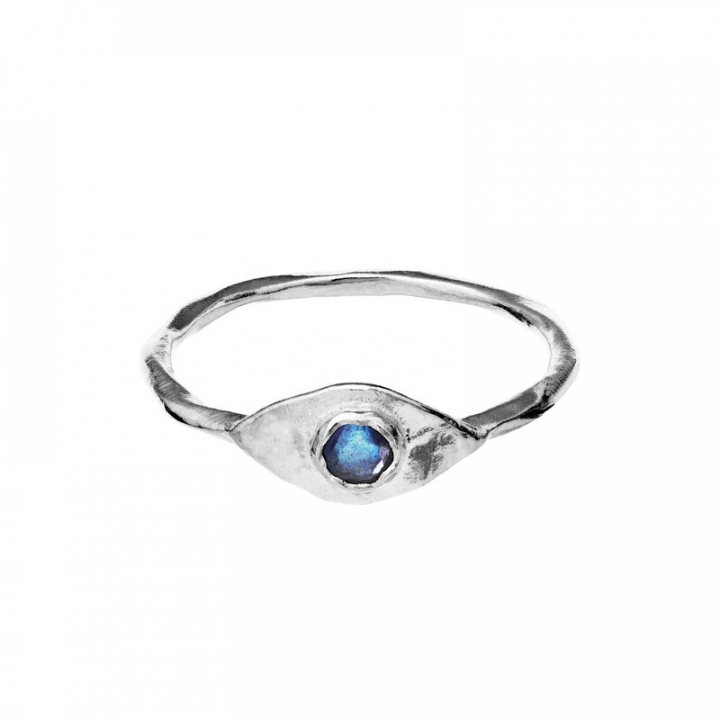 Product Image for Maanesten Argos Ring Zilver 59