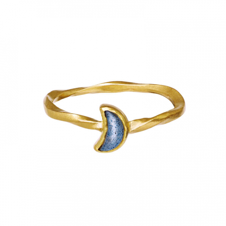 Product Image for Maanesten Doris Ring Goud 53