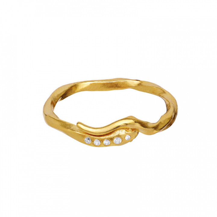 Hera Ring Goud in de groep Ringen / Gouden ringen bij SCANDINAVIAN JEWELRY DESIGN (4814A)