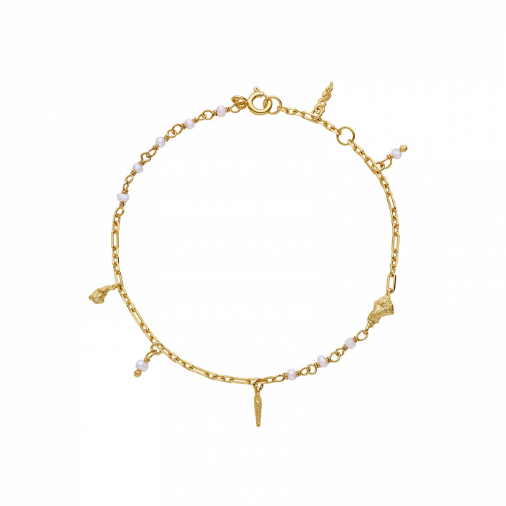 Taja Armbanden Goud in de groep Armbanden / Gouden armbanden bij SCANDINAVIAN JEWELRY DESIGN (8582a)