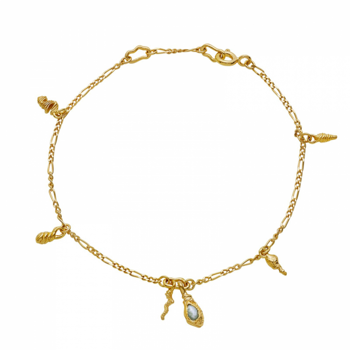 Moira Armbanden Goud in de groep Armbanden / Gouden armbanden bij SCANDINAVIAN JEWELRY DESIGN (8583a)