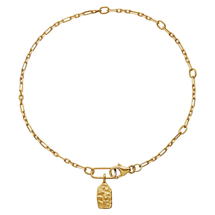 Ash Armbanden Goud in de groep Armbanden / Gouden armbanden bij SCANDINAVIAN JEWELRY DESIGN (8590a)