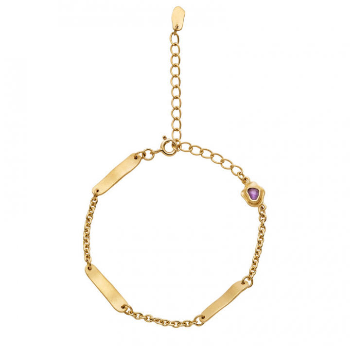 Dedee Armbanden Goud in de groep Armbanden / Gouden armbanden bij SCANDINAVIAN JEWELRY DESIGN (8597a)