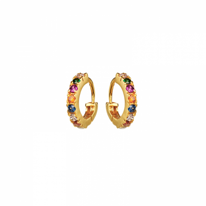Nubia Color Oorbel (goud) in de groep Oorbellen / Gouden oorbellen bij SCANDINAVIAN JEWELRY DESIGN (9337a)