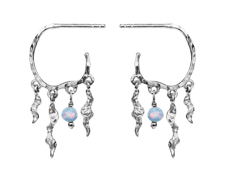 Bayou Oorbel Zilver in de groep Oorbellen / Zilveren oorbellen bij SCANDINAVIAN JEWELRY DESIGN (9664C)