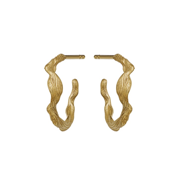Ara Oorbel (goud) in de groep Oorbellen / Gouden oorbellen bij SCANDINAVIAN JEWELRY DESIGN (9696a)