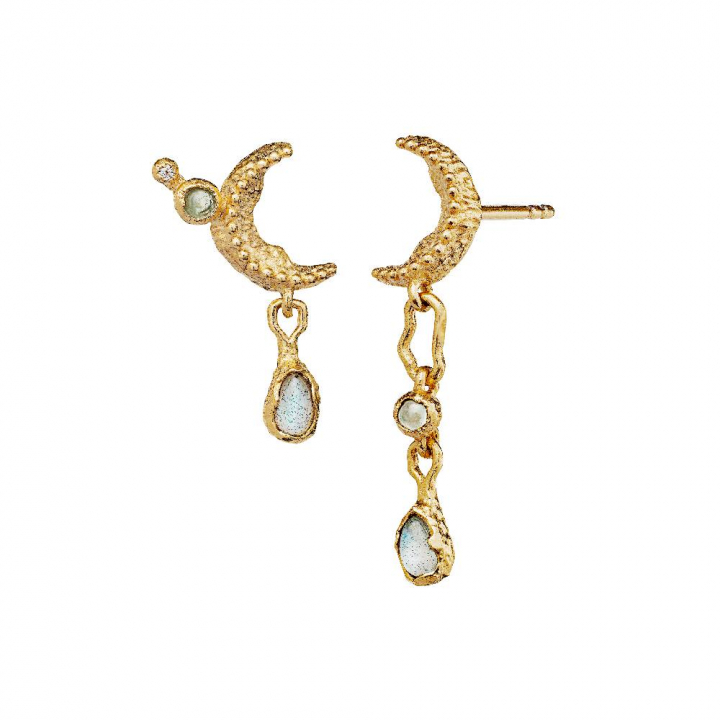 Elara Earring (Goud) in de groep Oorbellen / Gouden oorbellen bij SCANDINAVIAN JEWELRY DESIGN (9733a)