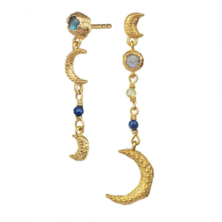 Pheobe Earring (Goud) in de groep Oorbellen / Gouden oorbellen bij SCANDINAVIAN JEWELRY DESIGN (9735a)