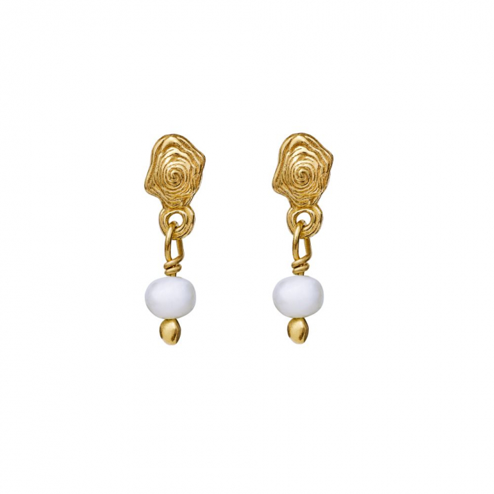 Product Image for Maanesten Pippa Oorbel Goud