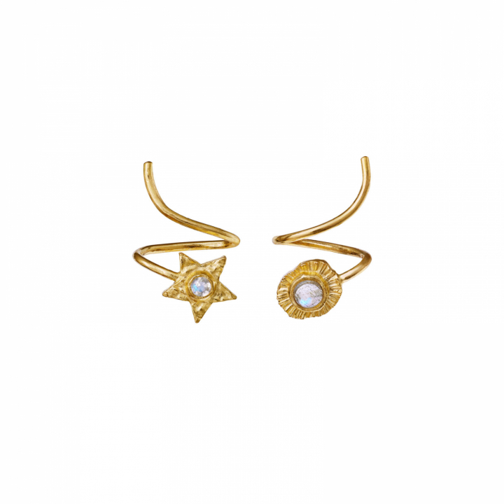 Product Image for Maanesten Sirius Oorbel Goud