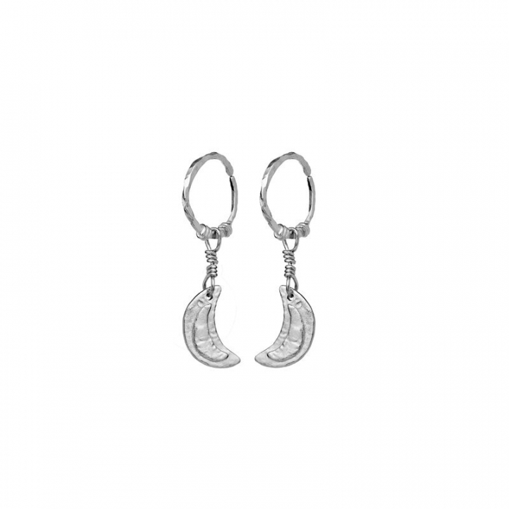 Odessa Oorbel Zilver in de groep Oorbellen / Zilveren oorbellen bij SCANDINAVIAN JEWELRY DESIGN (9841C)