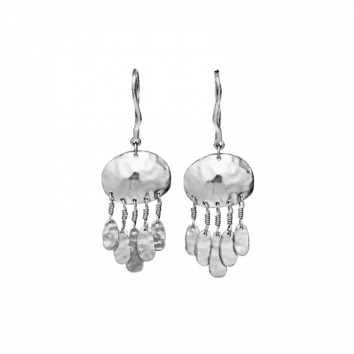 Product Image for Maanesten Ursa Oorbel Zilver