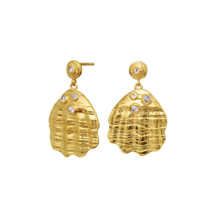 PALMA Earrings Gold in de groep Oorbellen / Gouden oorbellen bij SCANDINAVIAN JEWELRY DESIGN (9879A)