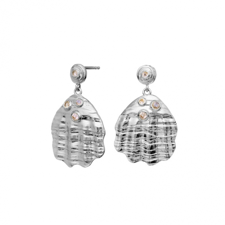 PALMA Earrings Silver in de groep Oorbellen / Zilveren oorbellen bij SCANDINAVIAN JEWELRY DESIGN (9879C)