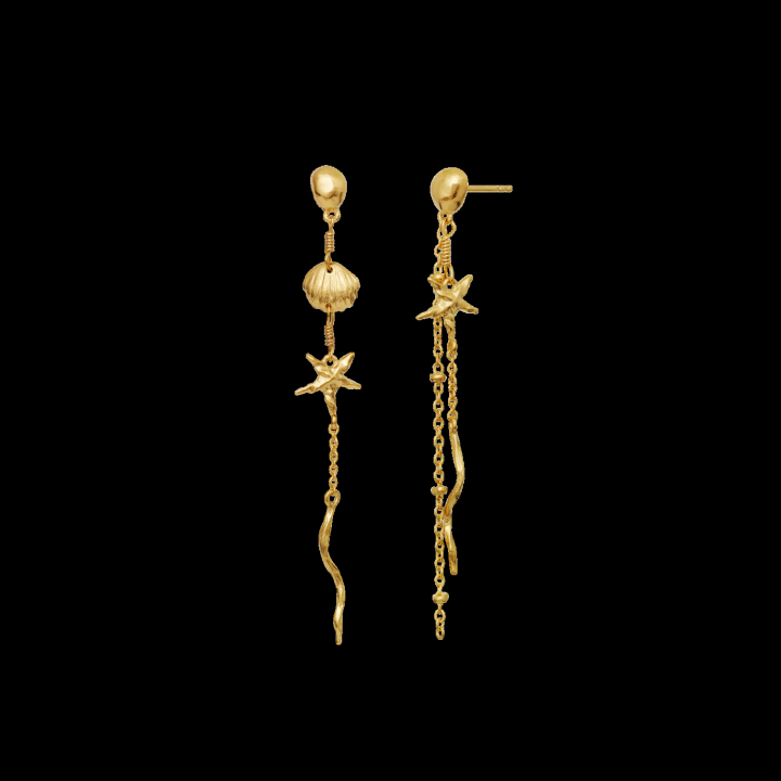 ARUBA Earrings Gold in de groep Oorbellen / Gouden oorbellen bij SCANDINAVIAN JEWELRY DESIGN (9883A)
