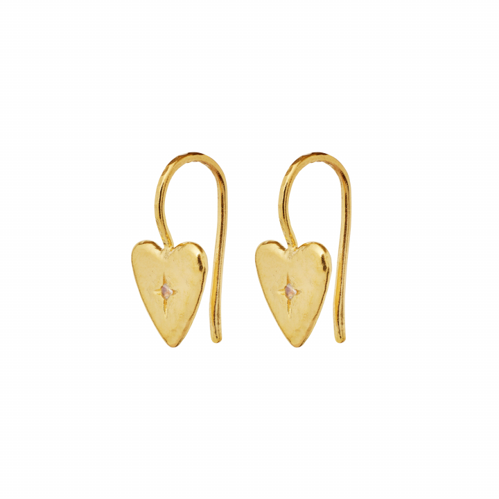 Chandra Earrings Gold in de groep Oorbellen / Gouden oorbellen bij SCANDINAVIAN JEWELRY DESIGN (9933A)
