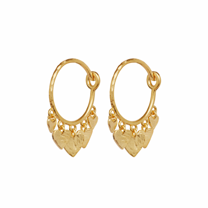 Zusa Earrings Gold in de groep Oorbellen / Gouden oorbellen bij SCANDINAVIAN JEWELRY DESIGN (9965A)