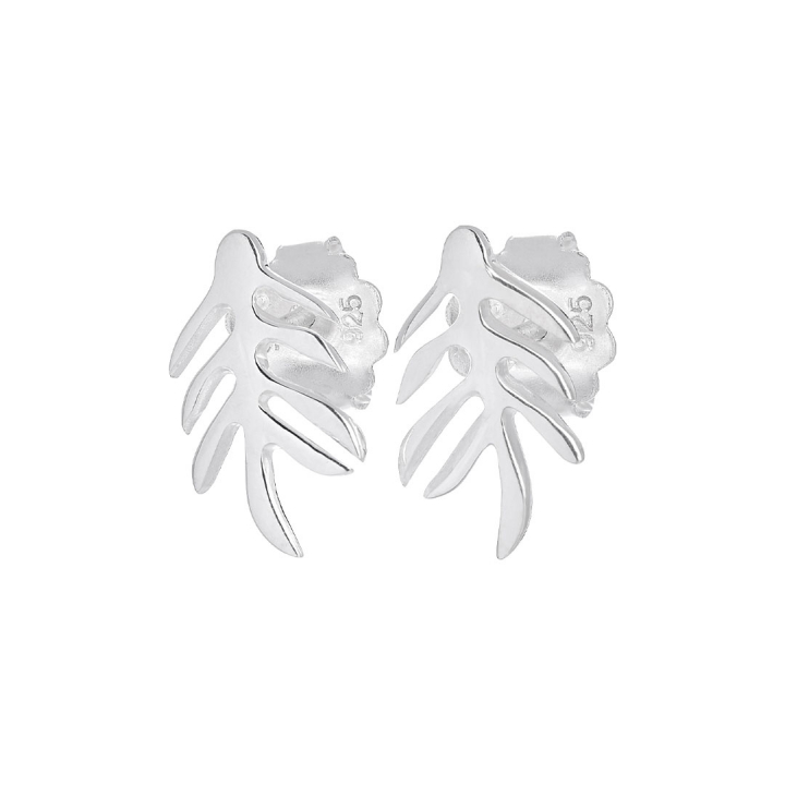 Autumn Leaf drop studs in de groep Oorbellen / Zilveren oorbellen bij SCANDINAVIAN JEWELRY DESIGN (ALF-E1S000-S)