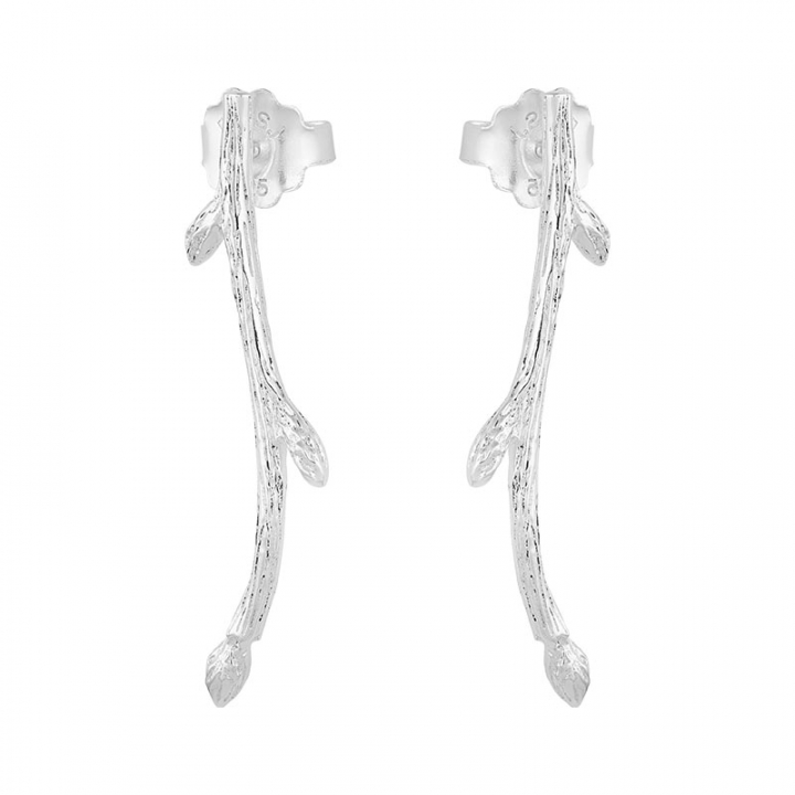 Branch earrings in de groep Oorbellen / Zilveren oorbellen bij SCANDINAVIAN JEWELRY DESIGN (BAH-E2M000-S)