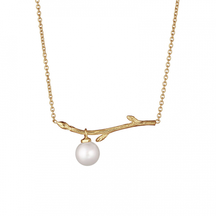 Branch pearl necklace gold in de groep Oorbellen / Gouden oorbellen bij SCANDINAVIAN JEWELRY DESIGN (BAH-N1M2501-G)