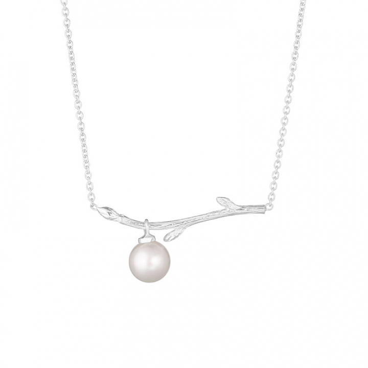 Branch pearl necklace in de groep Kettingen / Zilveren kettingen bij SCANDINAVIAN JEWELRY DESIGN (BAH-N1M2501-S)