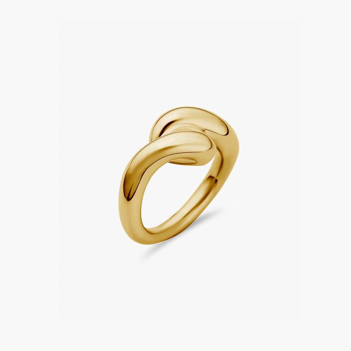 Breeze ring Goud in de groep Ringen / Gouden ringen bij SCANDINAVIAN JEWELRY DESIGN (BEE-R2M-G)